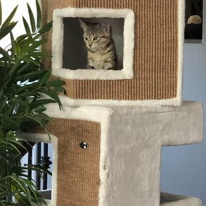 Meet your Posher, Marla